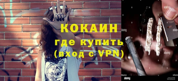 сатива Елизово