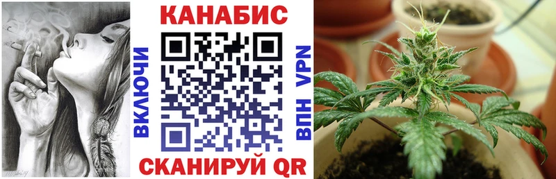 Купить  Карачев  Бошки Шишки сатива 